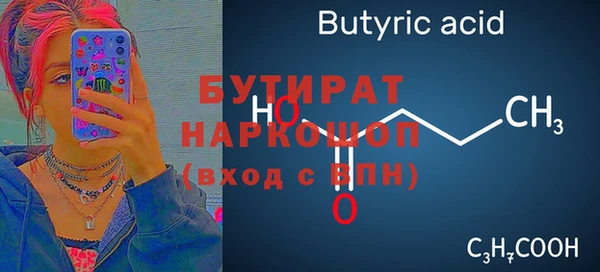 крисы Бородино